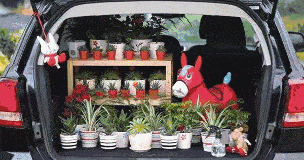 逛逛网红车尾箱集市吃瓜,吃瓜群众的美食盛宴