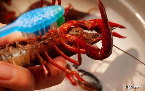 爆料麻辣小龙虾视频教程,视频教程大揭秘  第3张