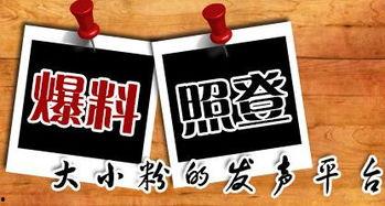 新闻小编最新爆料,新闻小编最新爆料，带你直击事件背后真相