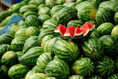 善堂网红吃瓜视频下载免费,善堂免费下载背后的秘密  第2张